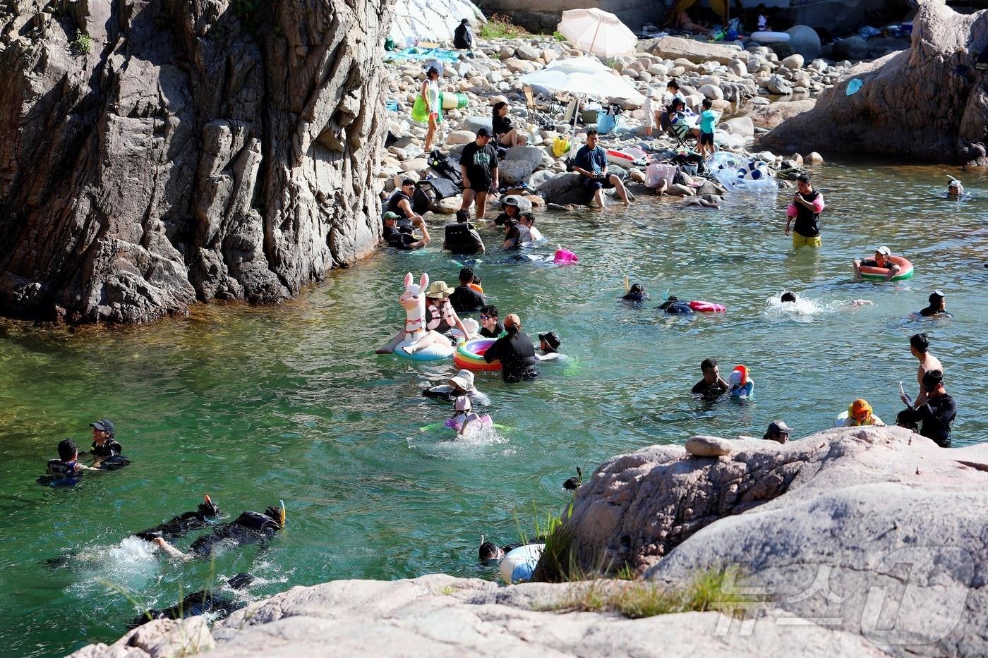 (사진은 기사 내용과 무관함) (인제군 제공. 재판매 및 DB금지)/뉴스1 ⓒ News1 이종재 기자