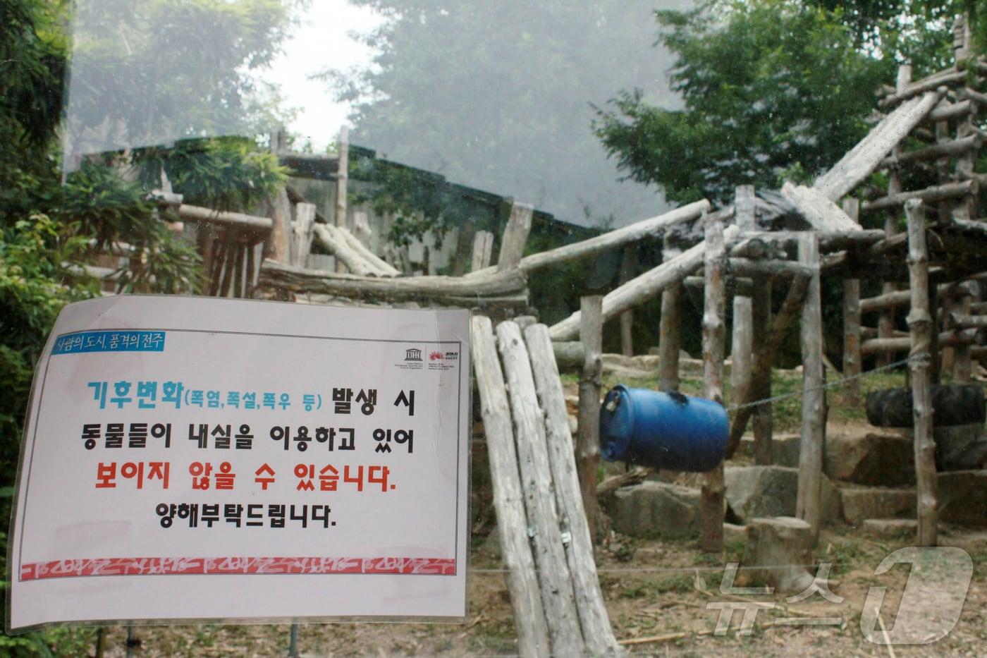 13일 오후 1시께 전북 전주동물원에서 무더위에 지친 동물들이 방사장 대신 내실에 들어가 있다. 2025.7.13/뉴스1 ⓒ News1 신준수 기자