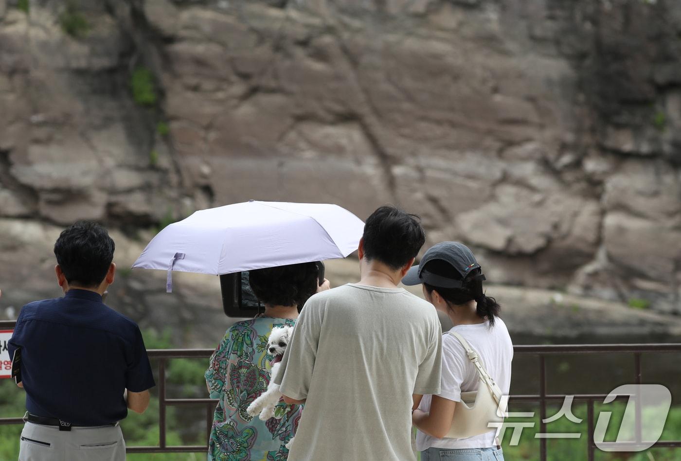 유네스코 세계문화 유산 등재가 확정된 울산 울주군 대곡리 반구대 암각화에서 시민들이 망원경으로 암각화를 보고 있다. 2025.7.13/뉴스1 ⓒ News1 조민주 기자