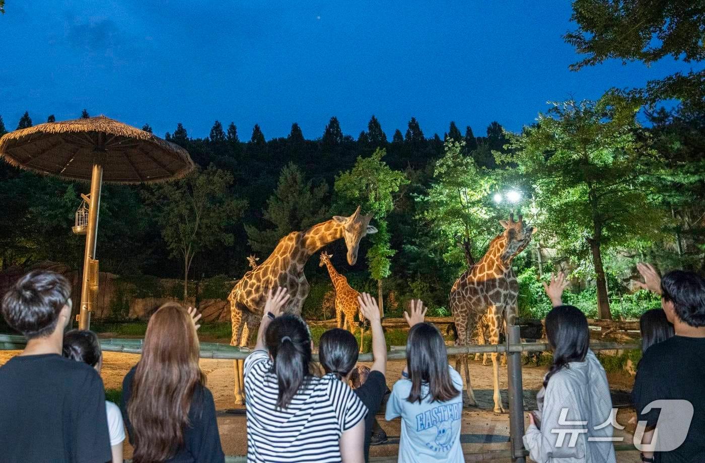 썸머 선셋 어드벤처. (에버랜드 제공)
