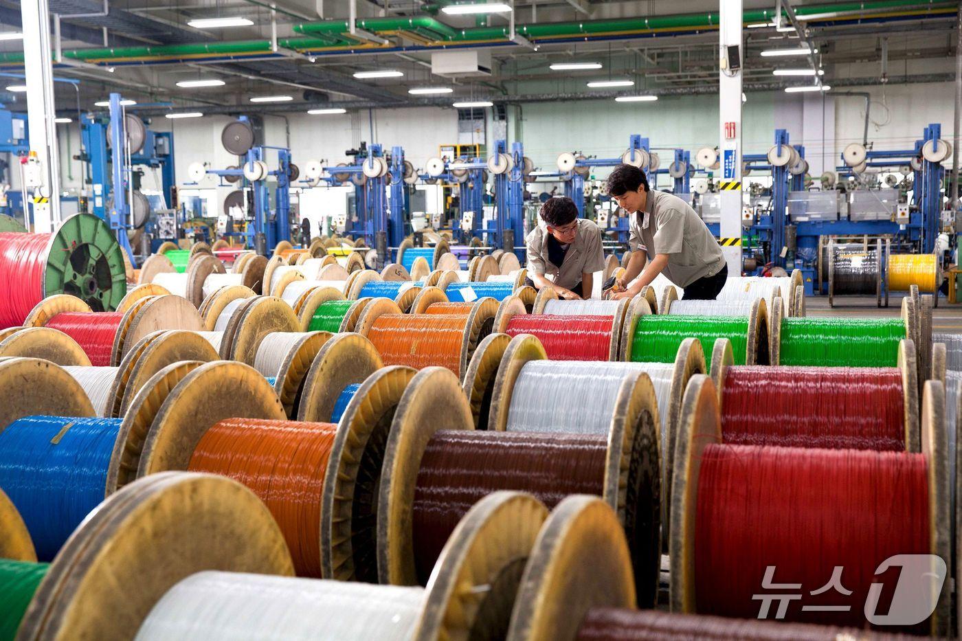 LS전선 직원들이 데이터 케이블을 생산하고 있는 모습 (사진제공 = LS전선) 