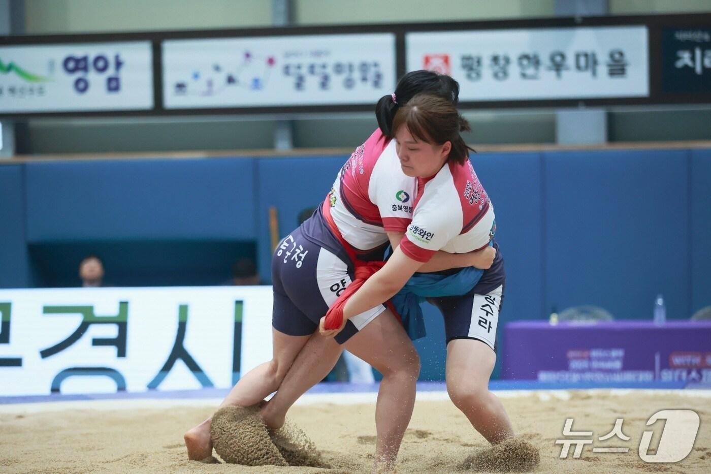 전국 장사씨름대회 장면 &#40;영동군 제공, 재판매 및 DB금지&#41; /뉴스1 