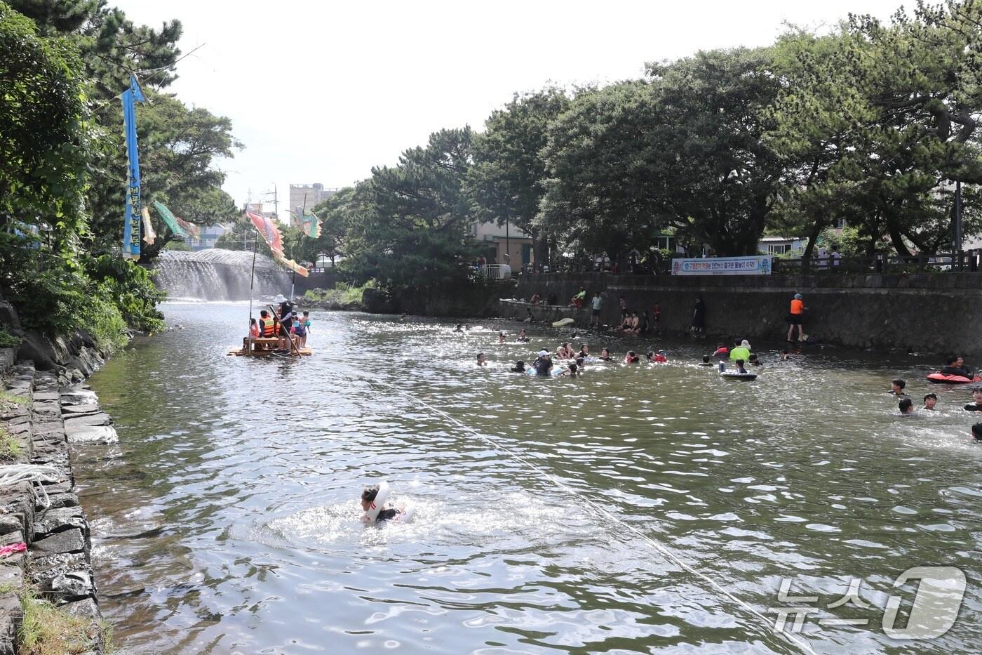 제주시 월대천./뉴스1 