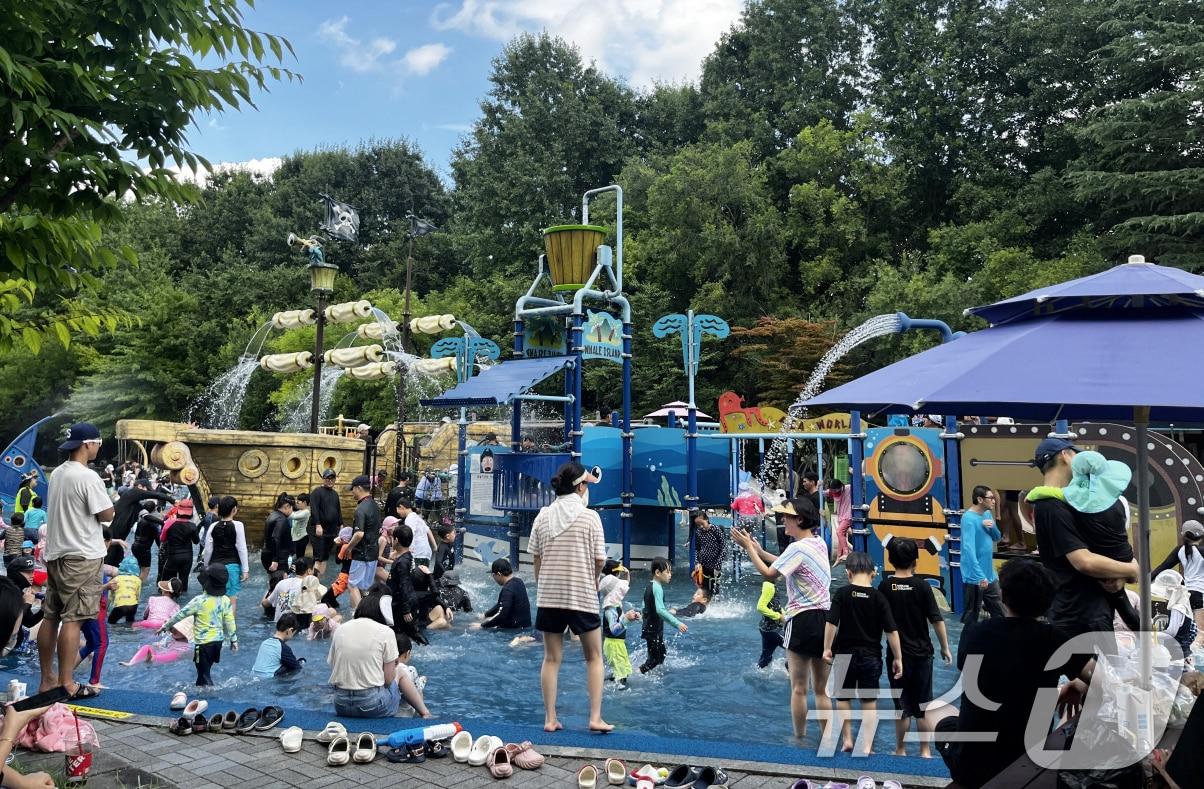 본문 이미지 - 광주 시민의 숲 물놀이장.(광주시 제공. 재판매 및 DB 금지) ⓒ News1 박준배 기자