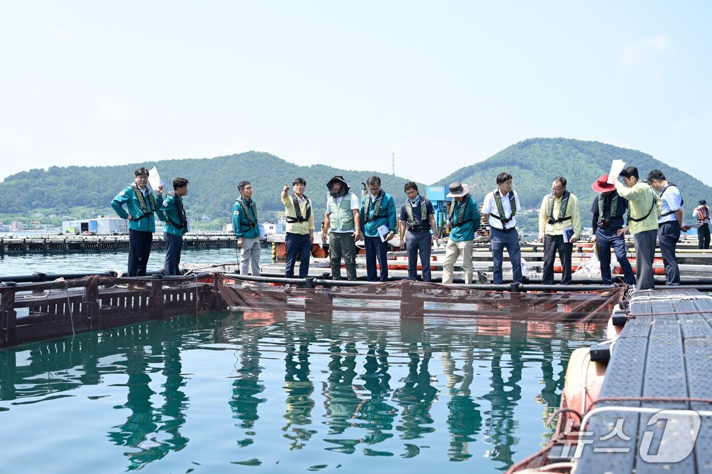 변광용 거제시장과 관계 기관 관계자들이 양식장 현장을 점검하고 있다.(거제시 제공. 재판매 및 DB금지)