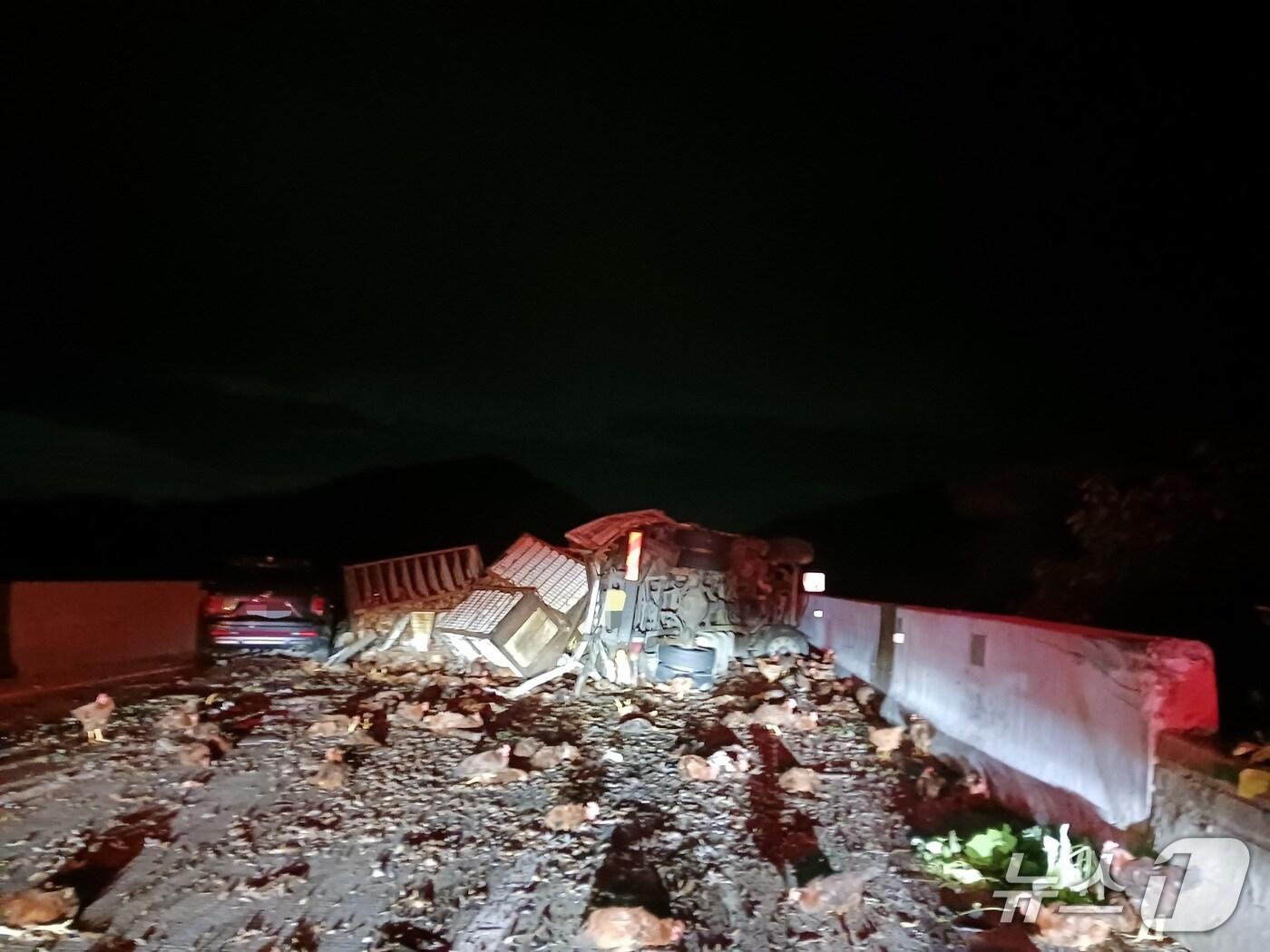 본문 이미지 - 15일 0시10분쯤 경북 문경시 중부내륙고속도로 창원방향 불정터널 인근에서 화물차가 전복돼 닭이 쏟아져 한때 극심한 차량 정체를 보였다.&#40;경북소방본부 제공.재판매 및 DB금지&#41;