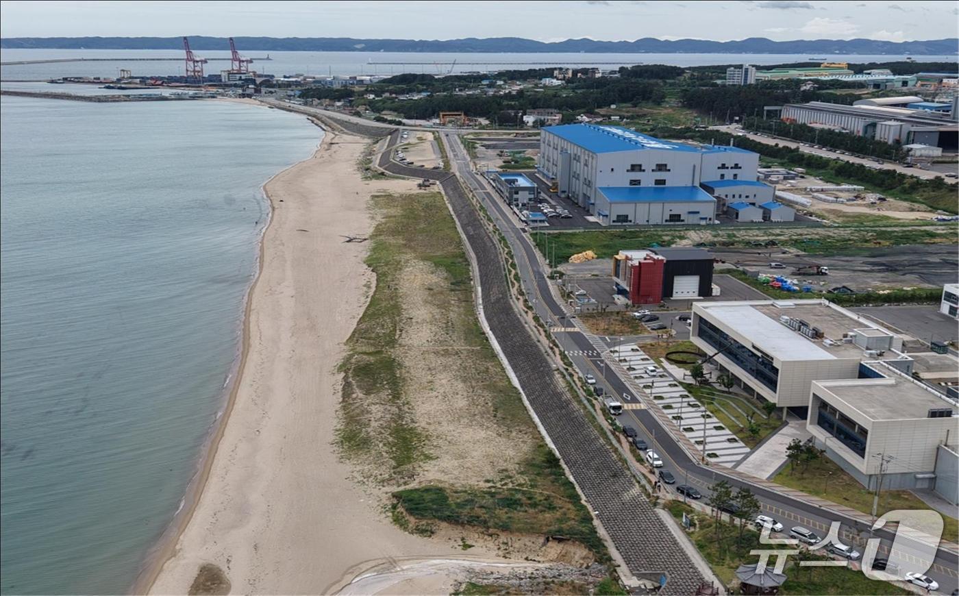 포항시 북구 흥해읍 일대 해안 방재림 대상지(산림청 제공.재판매 및 DB금지)/뉴스1