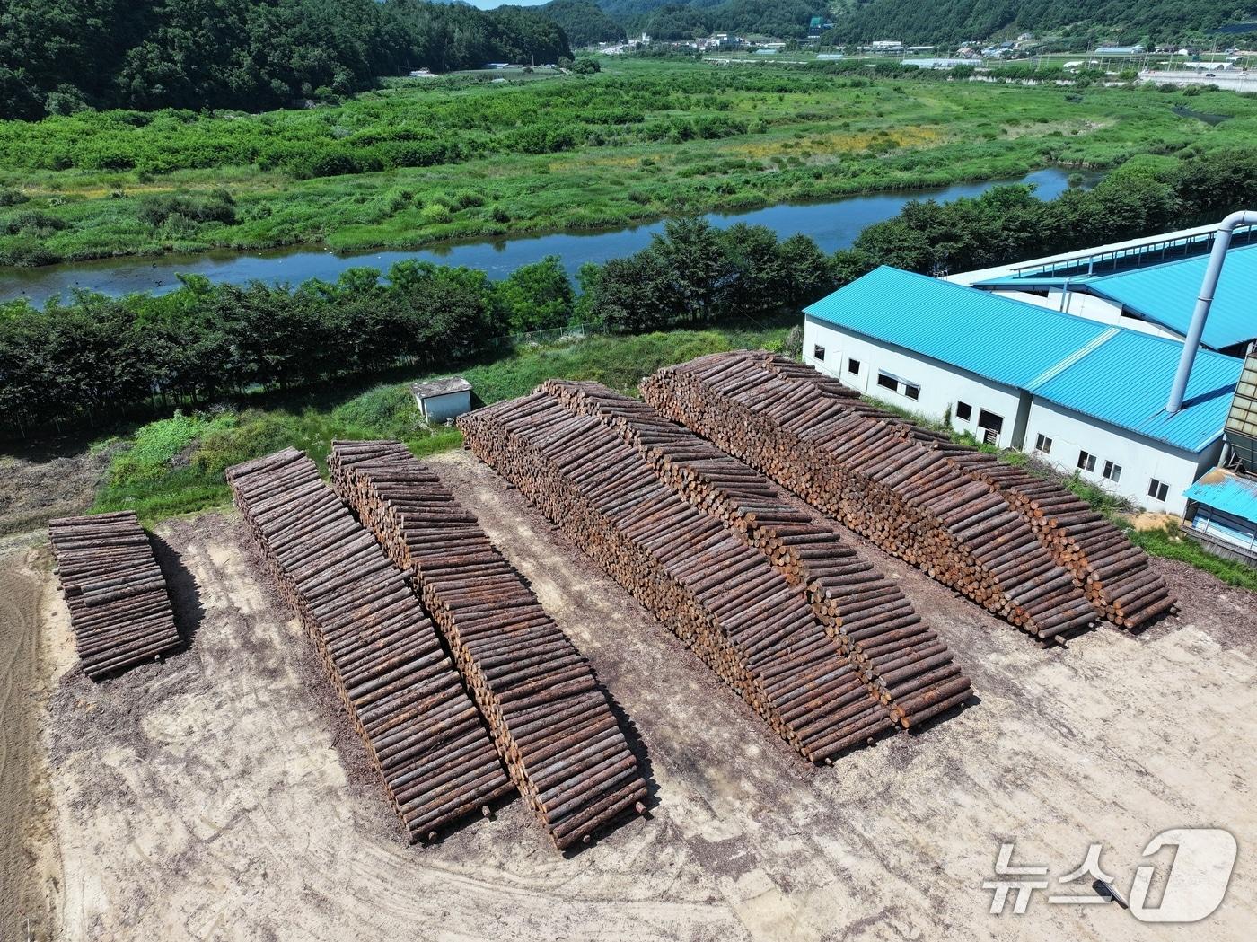 본문 이미지 - 목재집하장 항공사진.(동부산림청 제공, 재판매 및 DB 금지) 2025.7.15/뉴스1