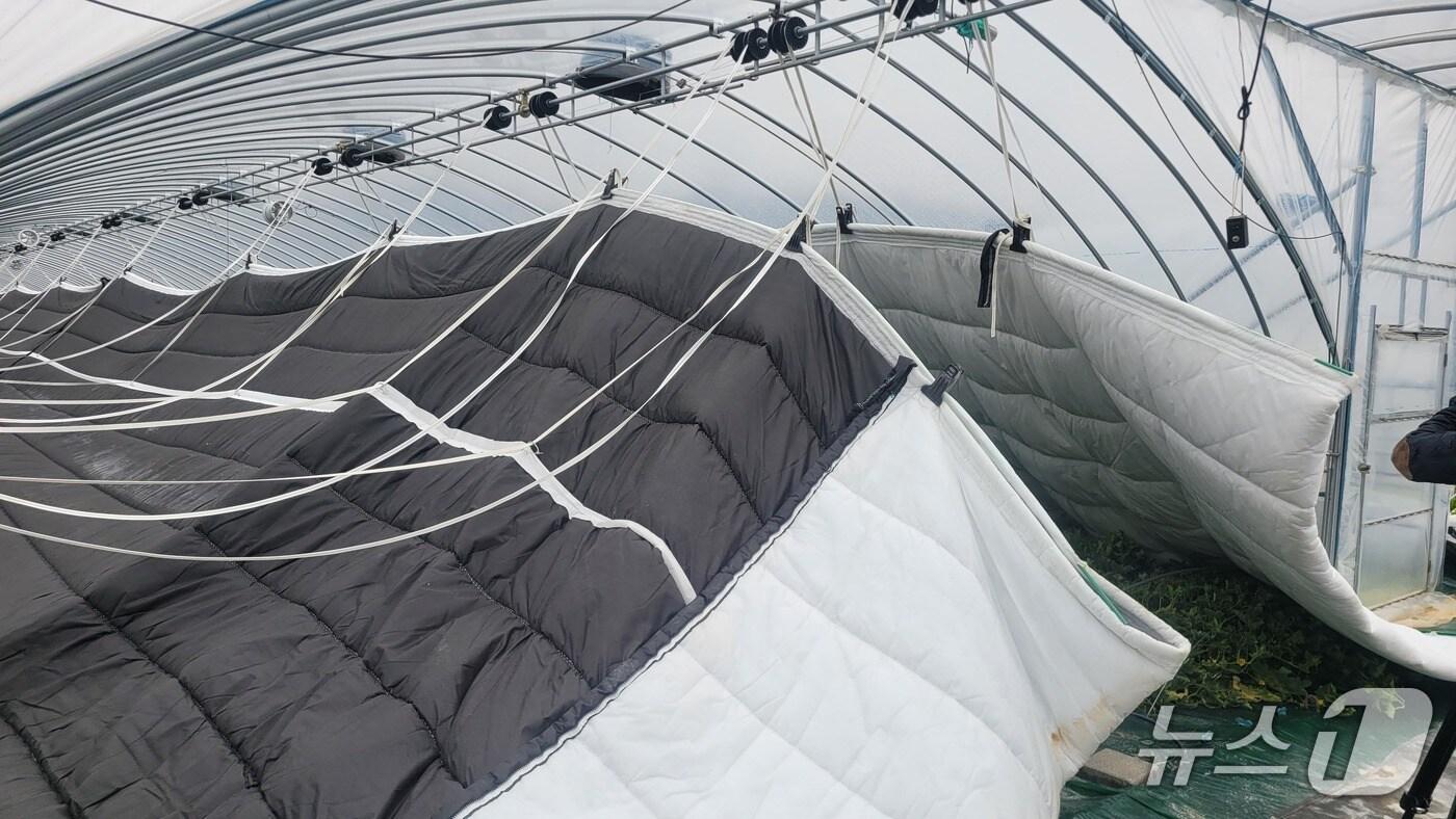 성주군 비닐하우스 현대화 모습 /뉴스1