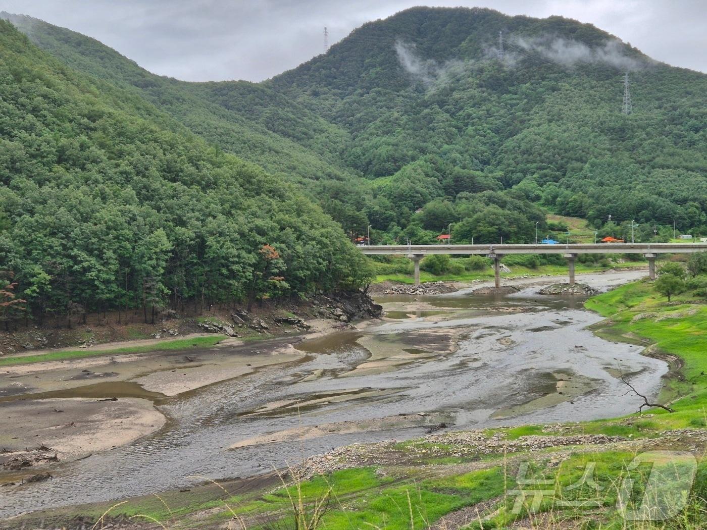 본문 이미지 - 지난 15일 강원 강릉시 성산면 오봉리 오봉저수지 일대.  2025.7.15/뉴스1 ⓒ News1 윤왕근 기자