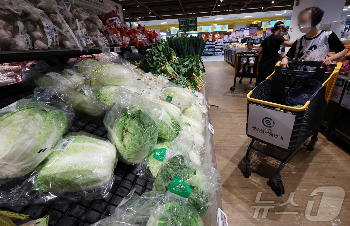 15일 서울 한 대형마트 농산물 모습. 2025.7.15/뉴스1 ⓒ News1 김명섭 기자