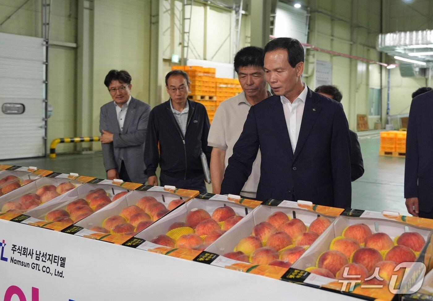  15일 조병옥 충북 음성군수(오른쪽)가 음성군농산물유통센터를 찾아 복숭아 상태를 살피고 있다.(음성군 제공. 재판매 및 DB금지)/뉴스1