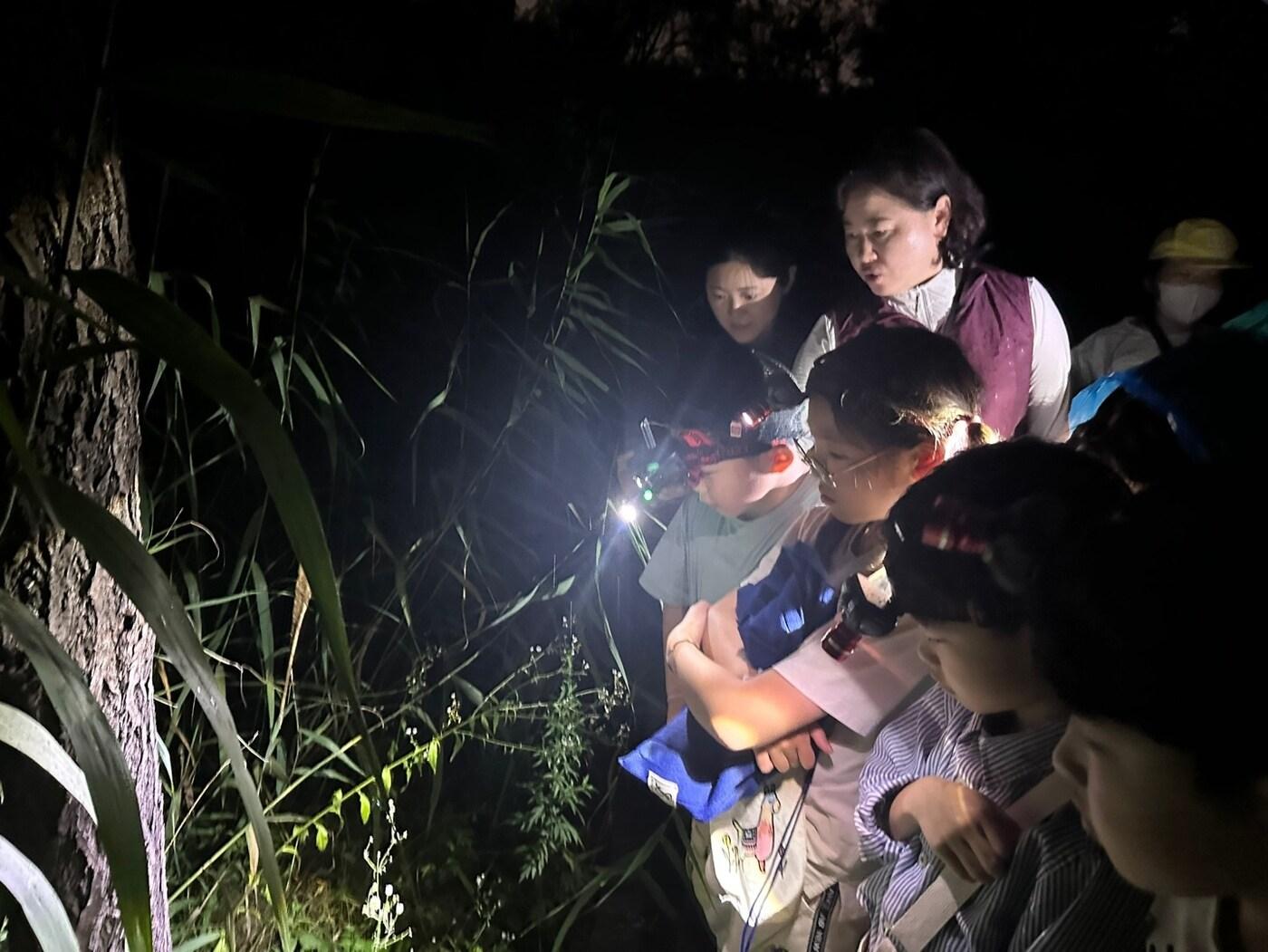 본문 이미지 - (서울시 제공)