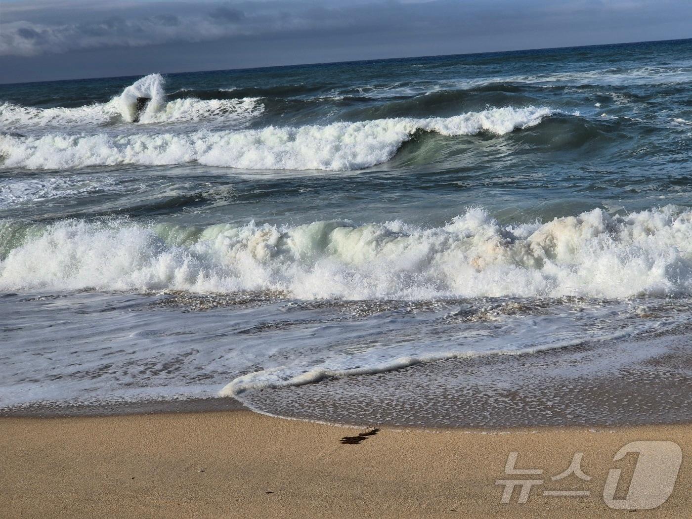 본문 이미지 - 강원 강릉 안목해변 거친 파도.&#40;뉴스1 DB&#41;ⓒ News1 윤왕근 기자