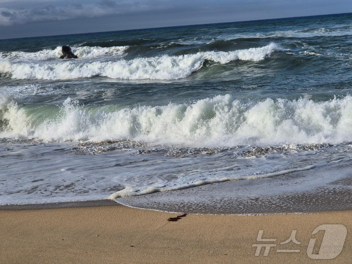 본문 이미지 - 강원 강릉 안목해변에 높은 파도가 일고 있다.&#40;뉴스1 DB&#41;ⓒ News1 윤왕근 기자
