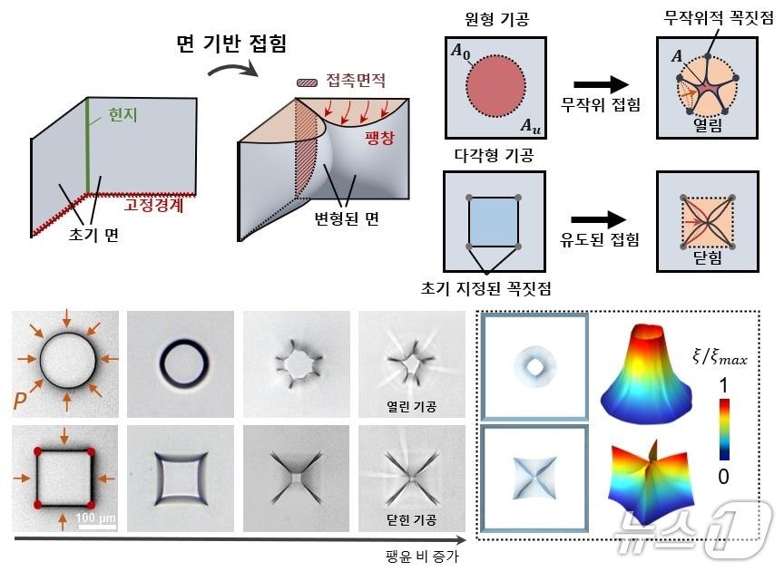 본문 이미지 - 하이드로젤 미세 기공의 변형 메커니즘 모식도 및 실험·시뮬레이션 결과&#40;한국연구재단 제공&#41; /뉴스1