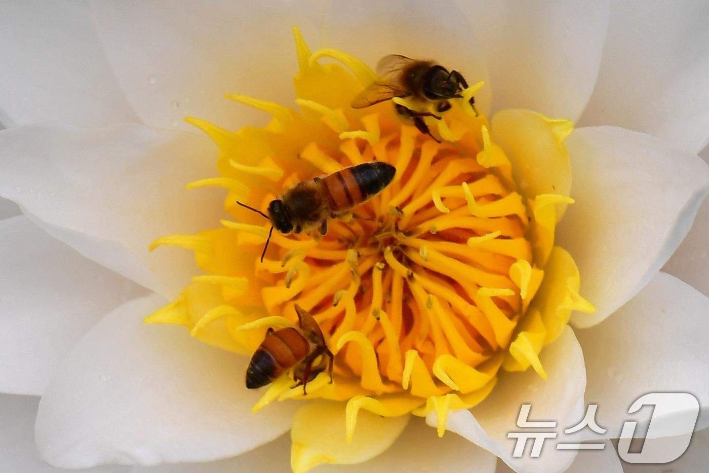 본문 이미지 - (사진은 기사 내용과 무관함) / 뉴스1 ⓒ News1