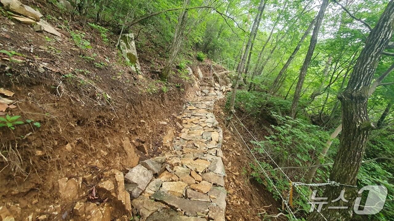 본문 이미지 - 서대산 등산로(금산군 제공.재판매 및 DB금지)/뉴스1