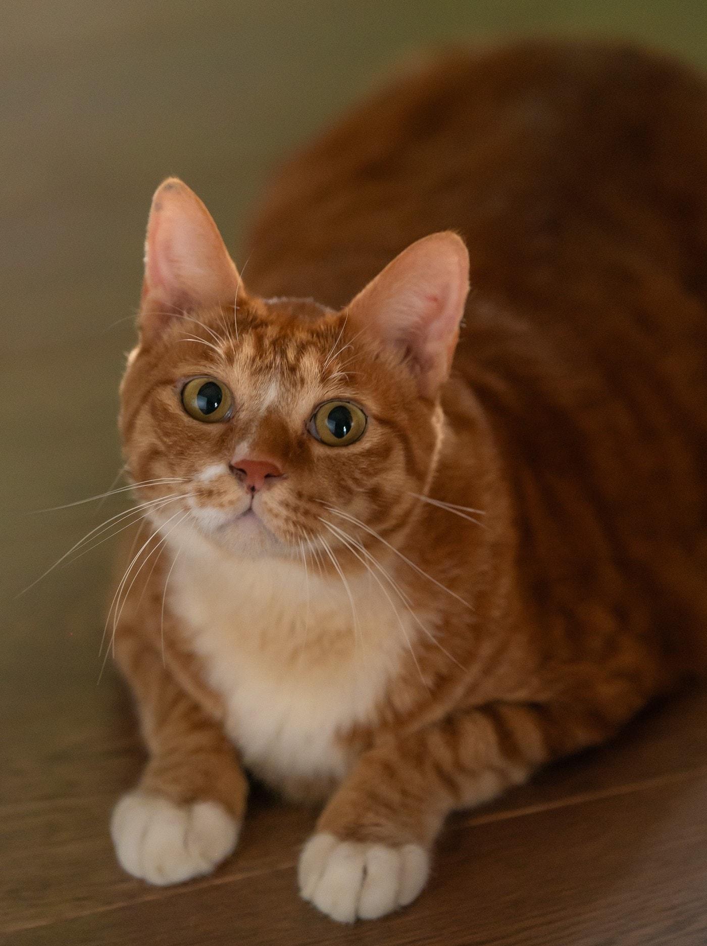 본문 이미지 - '좀비딸' 애용이 스틸