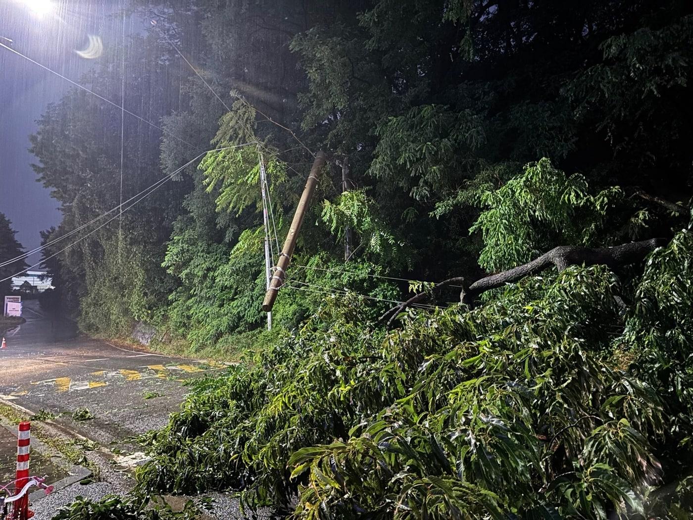 본문 이미지 - 16일 오후 8시쯤 흥덕구 옥산면의 한 도로에서는 전봇대가 쓰러져 안전조치가 완료됐다.(청주서부소방서 제공. 재판매 및 DB금지)./뉴스1