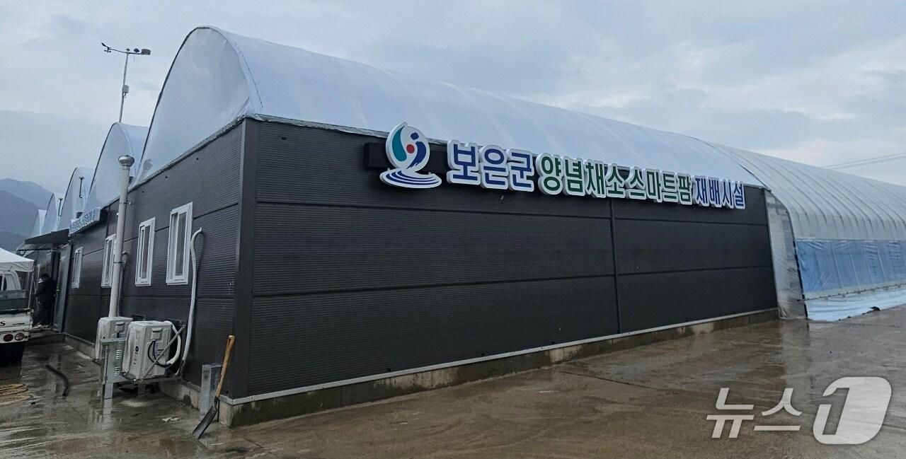 본문 이미지 -  보은군 양념채소 스파트팜 재배시설 &#40;보은군 제공, 재판매 및 DB금지&#41; /뉴스1