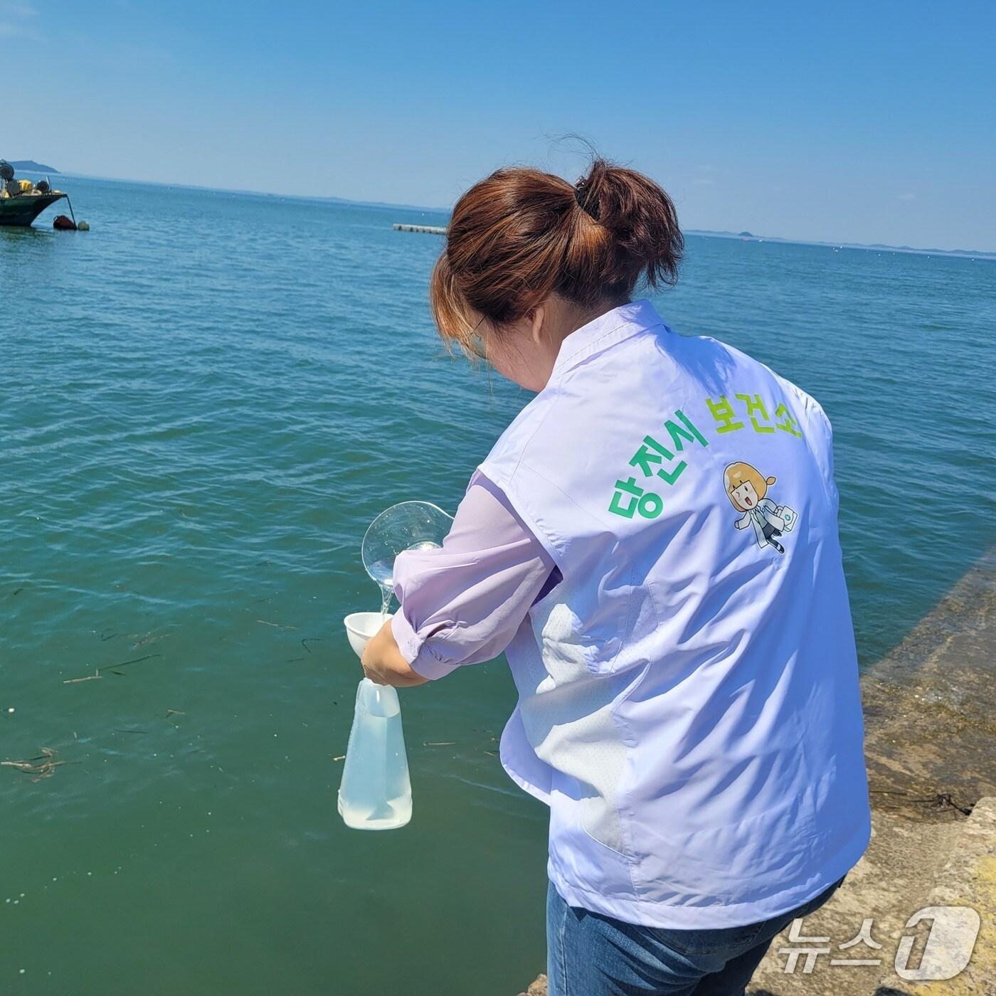 본문 이미지 - 비브리오 채수 모습 (당진시 제공. 재판매 및 DB금지)2025.7.17/뉴스1