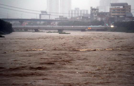 본문 이미지 - 17일 충북 청주시 무심천 하상도로가 빗물에 잠겨있다. 밤사이 청주에는 230mm가 넘는 폭우가 내렸다. 2025.7.17/뉴스1 ⓒ News1 김용빈 기자