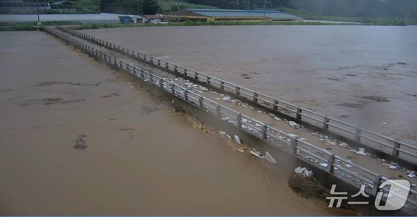 폭우에 잠긴 미호강 성재2교 (독자제공. 재판매 및 DB금지)./뉴스1