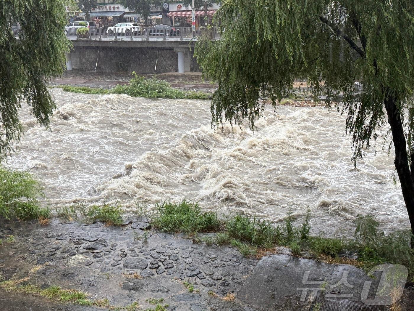 본문 이미지 - 17일 오전 10시 10분을 기해 광주에 호우경보를 발령된 가운데 광주 도심을 가로지르는 광주천의 수위도 빠른 속도로 상승하며 둔치가 침수 직전에 놓여 있다. 2025.7.17/뉴스1 ⓒ News1 김태성 기자