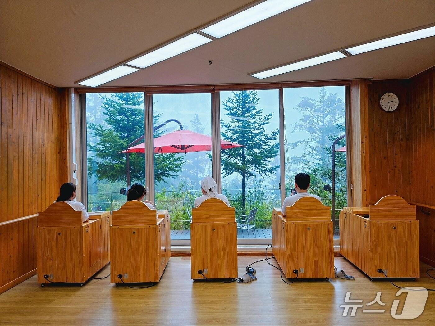 본문 이미지 - 지난해 국립횡성숲체원에서 진행된 '비우고, 숲 프로그램'(한국생명존중희망재단 제공)