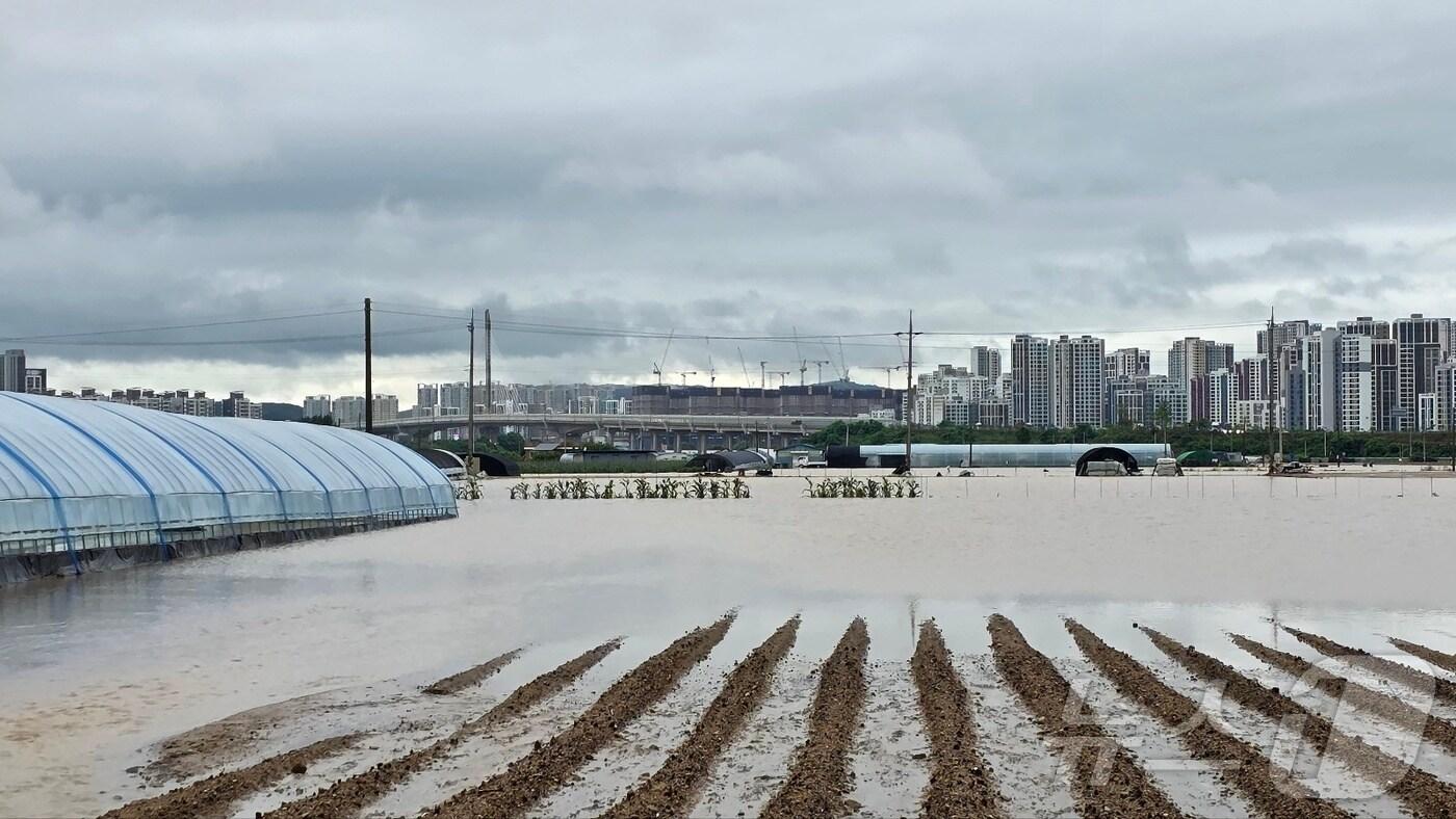 밤사이 쏟아진 집중폭우로 침수 피해가 발생한 17일 충남 아산시 배방읍 일대가 불어난 빗물에 시설물이 잠겨있다. 2025.7.17/뉴스1 ⓒ News1 이시우 기자