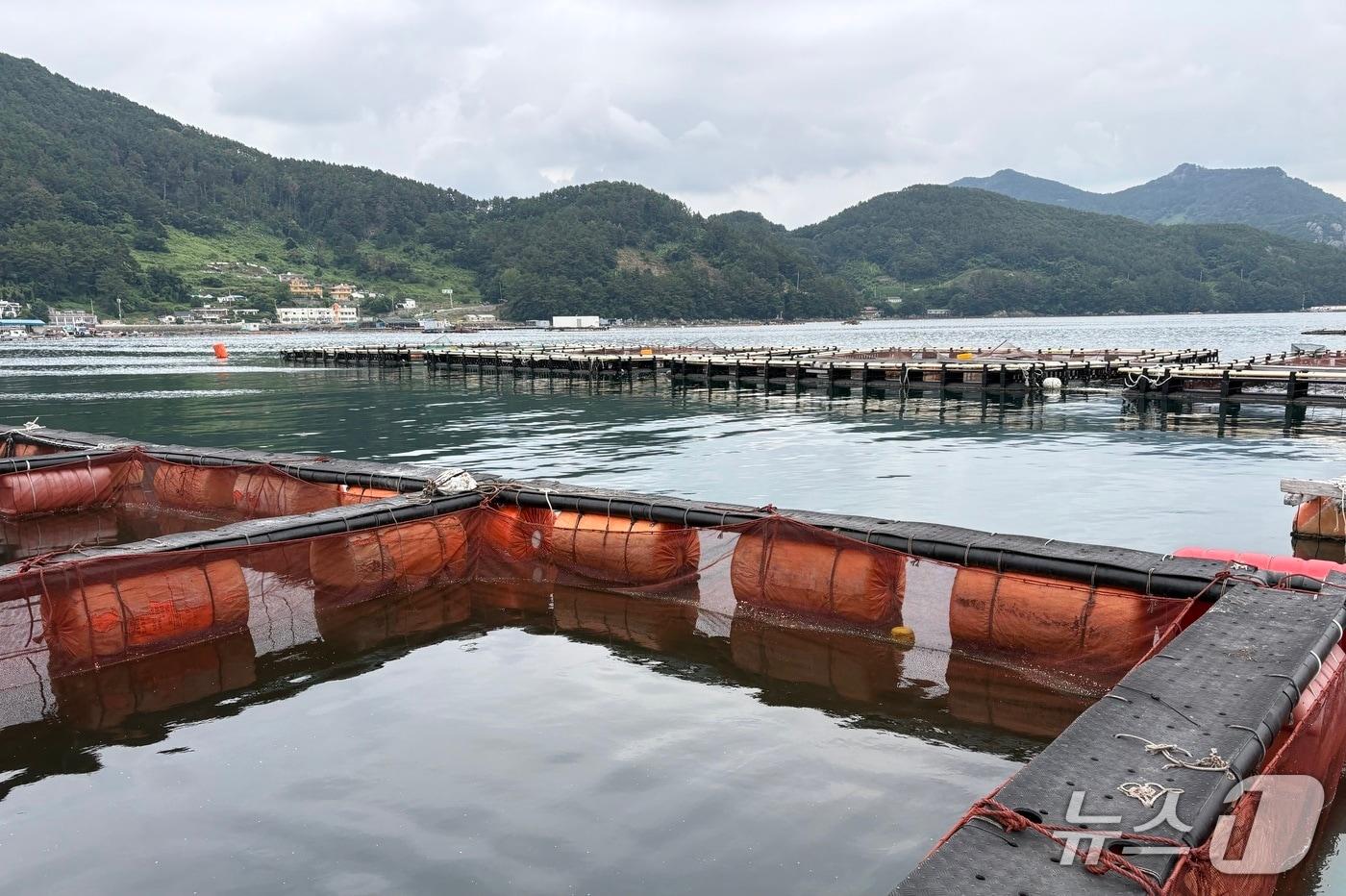 경남 산양읍 풍화리 한 해상 가두리양식장.2025.07.17/뉴스1 강미영기자