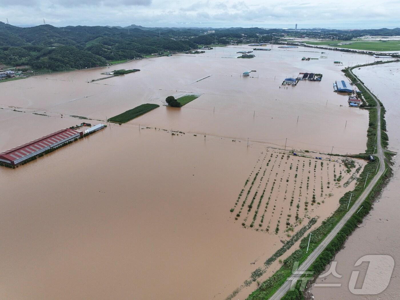 본문 이미지 - 지난 17일 충남 당진시 행정동 일대가 역천 범람으로 침수돼 있다. /뉴스1 ⓒ News1 김도우 기자