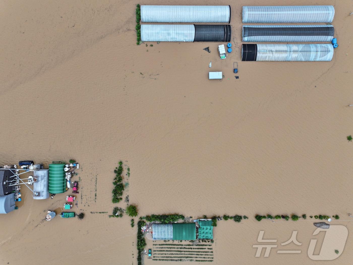 본문 이미지 - 침수된 농경지.2025.7.17/뉴스1 ⓒ News1 김도우 기자