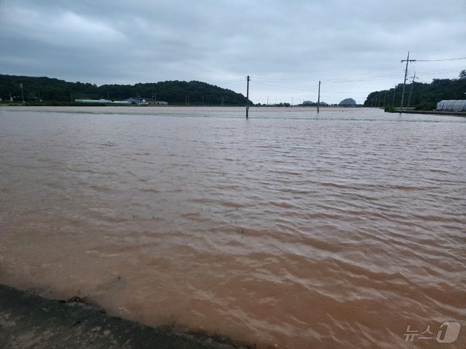 본문 이미지 - 서천군 일대가 물에 잠긴 모습. (뉴스1DB)/뉴스1