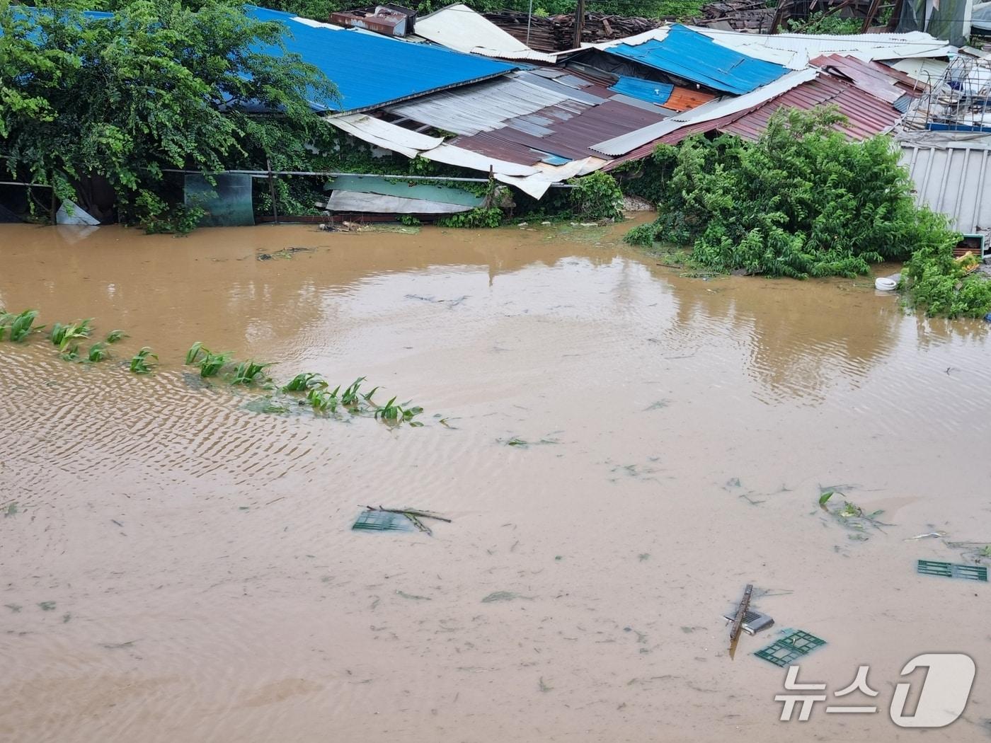 본문 이미지 - 아산 염치읍 석정리의 한 마을이 밤새 내린 폭우로 침수됐다. (독자제공)