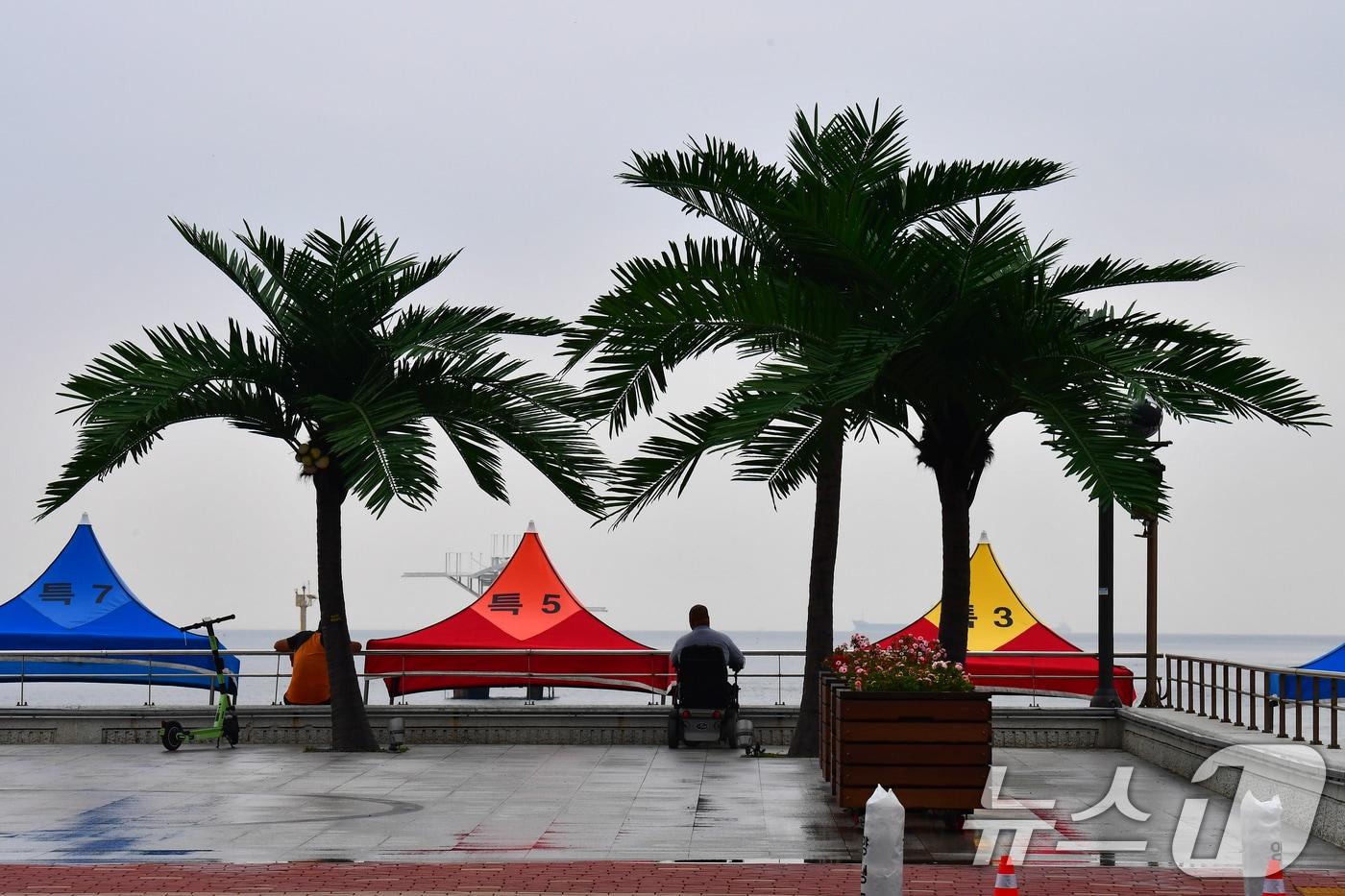 17일 경북 포항시 송도해수욕장 평화의 여신상 광장에서 산책 나온 시민이 인공 야자수 나무 아래에서 쉬고 있다. 2025.7.17/뉴스1 ⓒ News1 최창호 기자