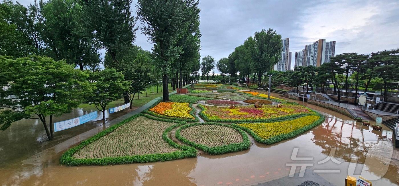 충북 증평 보강천 체육공원이 집중호우로 불어난 흙탕물에 잠겨 있다.2025.7.17. ⓒ News1 이성기 기자