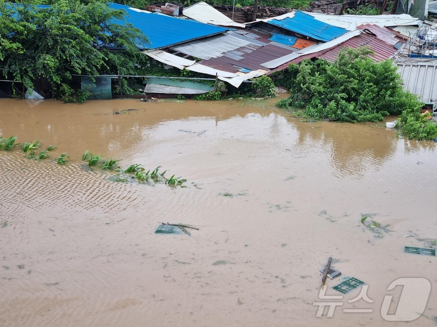 본문 이미지 - 17일 집중호우로 침수 피해가 발생한충남 아산시 염치읍 석정리 일원 마을 모습 (황재만 전 아산시 의원 제공. 재판매 및 DB금지)2025.7.17/뉴스1