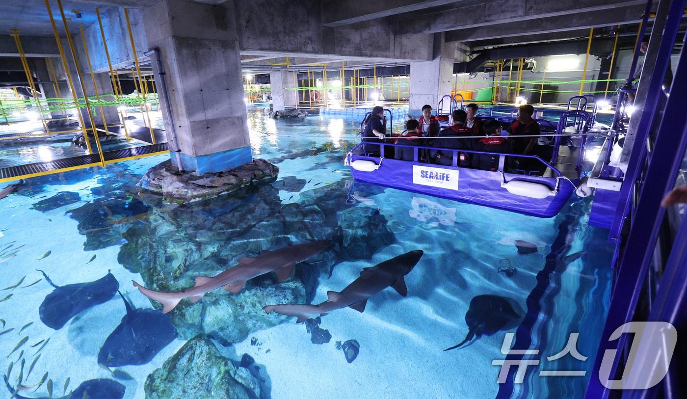 본문 이미지 - 서울 강남구 코엑스 아쿠아리움 2025.7.17 ⓒ 뉴스1 박지혜 기자