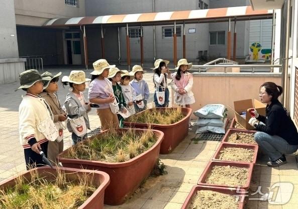 본문 이미지 - 늘봄학교 농촌체험프로그램 수업 장면.(전북교육청 제공, 재판매 및 DB 금지)/뉴스1