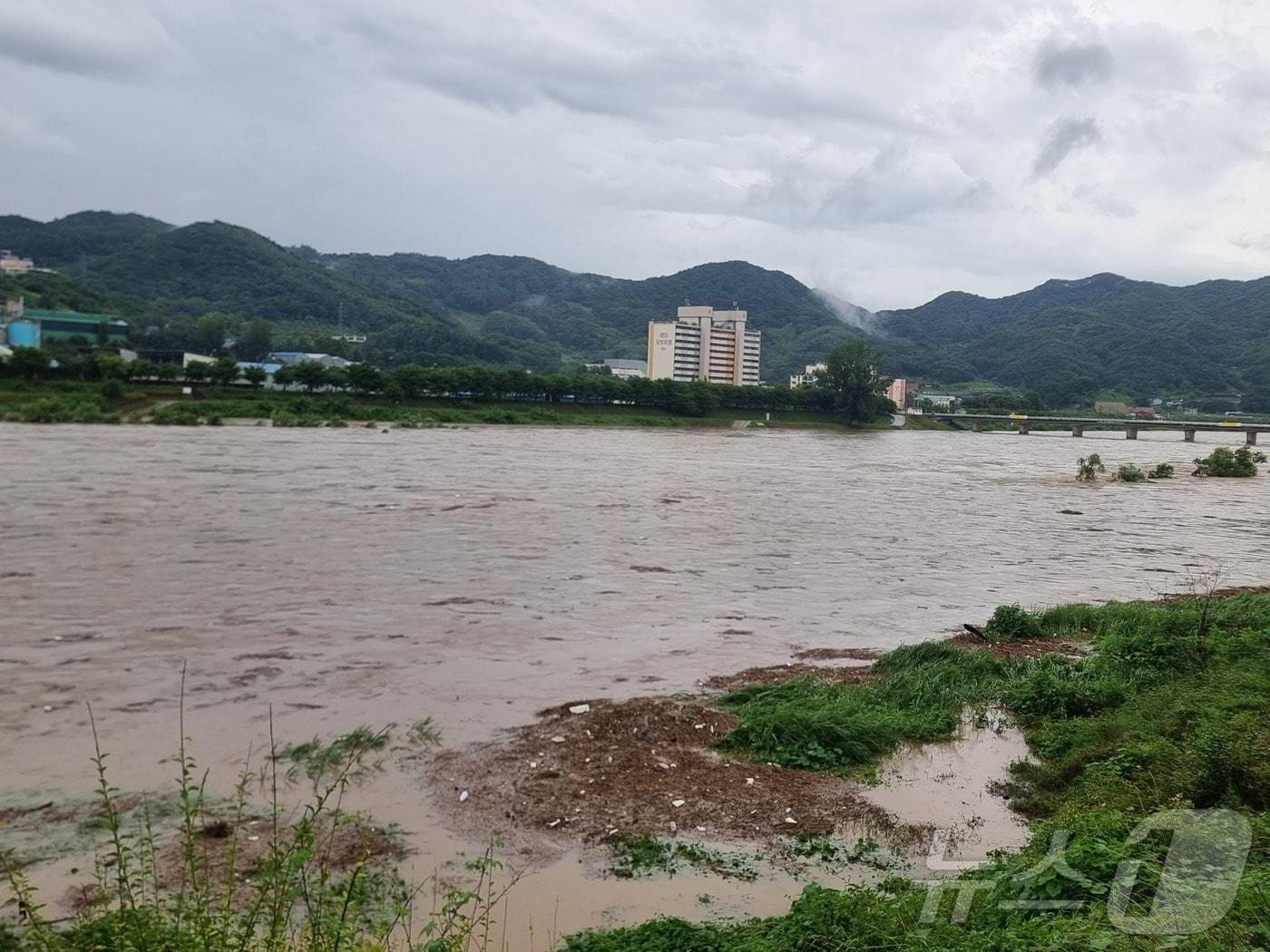 본문 이미지 - 17일 충북 충주시 단월동을 지나는 달천강이 어제부터 내린 비로 다리 밑을 위태롭게 통과하고 있다.(독자 제공. 재판매 및 DB금지)/뉴스1 