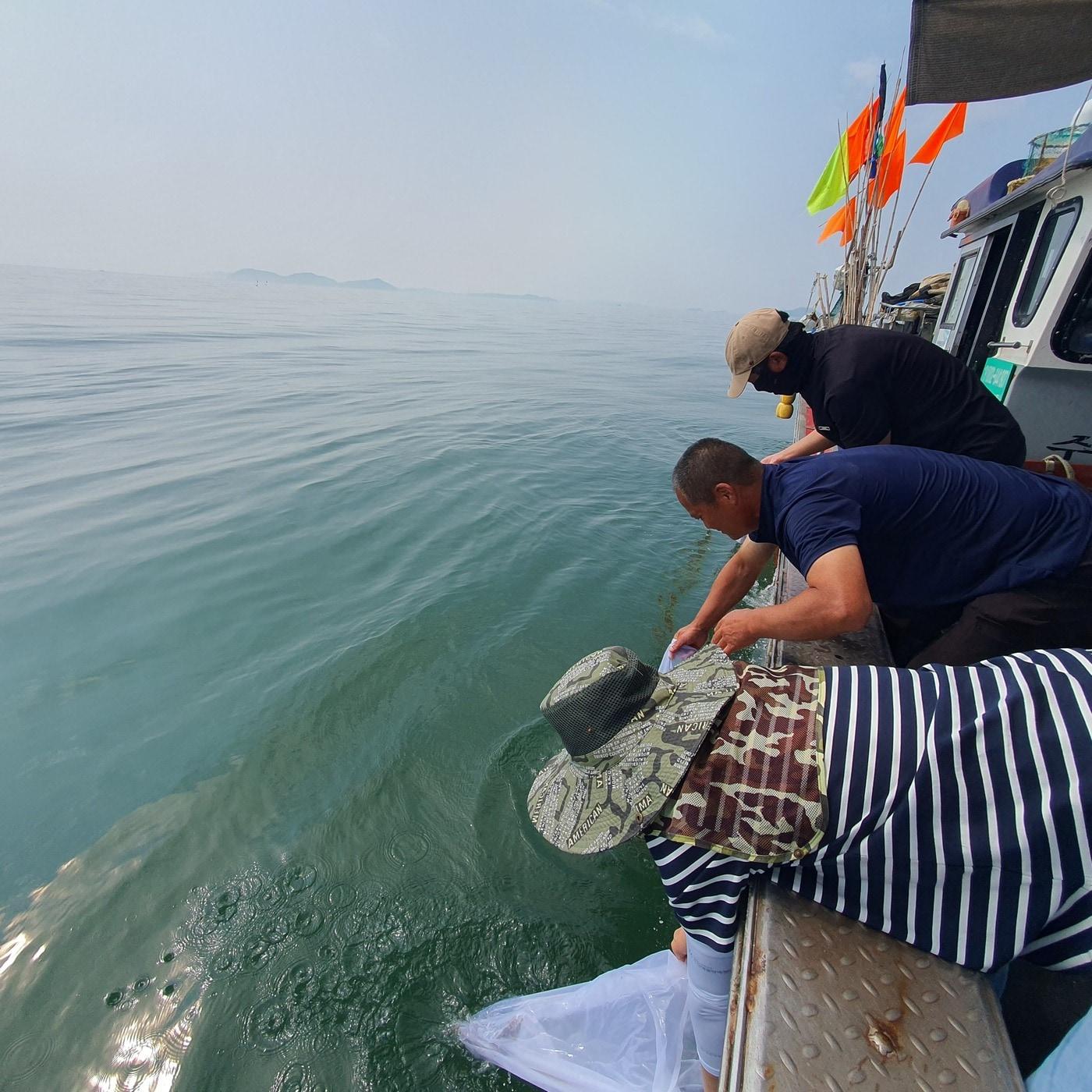 본문 이미지 -  어린 주꾸미 방류 모습.(충남도 제공. 재판매 및 DB금지)/뉴스1