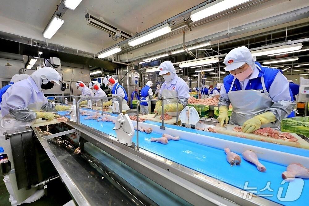 본문 이미지 - 초복을 앞두고 (주)하림 익산공장 현장 직원들이 부분육 정선/발골 작업을 하고 있다.(하림 제공. 재판매 및 DB금지)