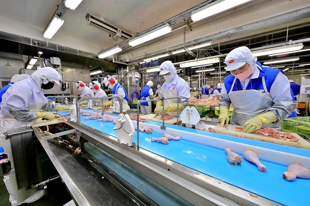 본문 이미지 -  초복을 앞두고 하림 익산공장 현장 직원들이 부분육 정선·발골 작업을 하고 있다. (하림 제공) 