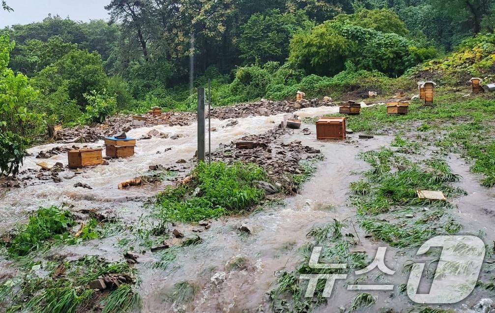 본문 이미지 - 광주지역에 하루 동안 최고 426㎜에 달하는 기록적인 '극한 호우'가 쏟아진 가운데 18일 오전 북구 석곡동의 한 양봉장에서 벌통이 폭우에 휩쓸려 나뒹굴고 있다. (독자 제공. 재판매 및 DB 금지) 2025.7.18/뉴스1 ⓒ News1 박준배 기자