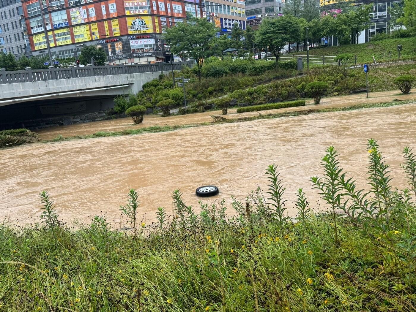 본문 이미지 -  17일 집중호우가 내린 세종시 자료사진. / 뉴스1