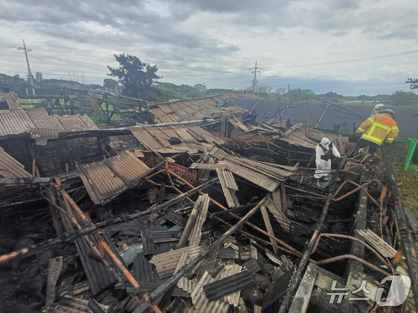 본문 이미지 -  논산 연무읍 돈사 화재 현장. (논산소방서 제공, 재판매 및 DB금지) / 뉴스1