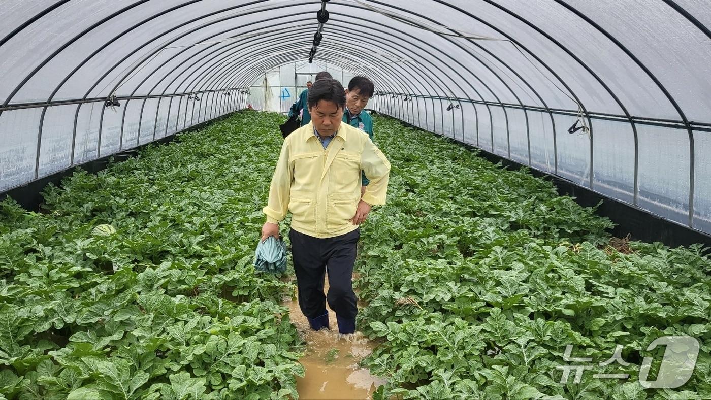 박정현 부여군수가 수해 현장을 둘러보고 있다. (부여군 제공, 재판매 및 DB금지) / 뉴스1 