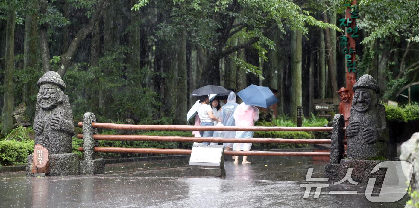 비 내리는 제주&#40;자료사진&#41;/뉴스1